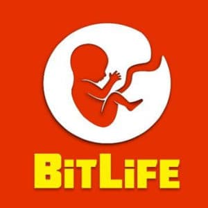 BitLife Simulator