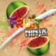 Ninja de frutas