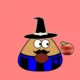Pou